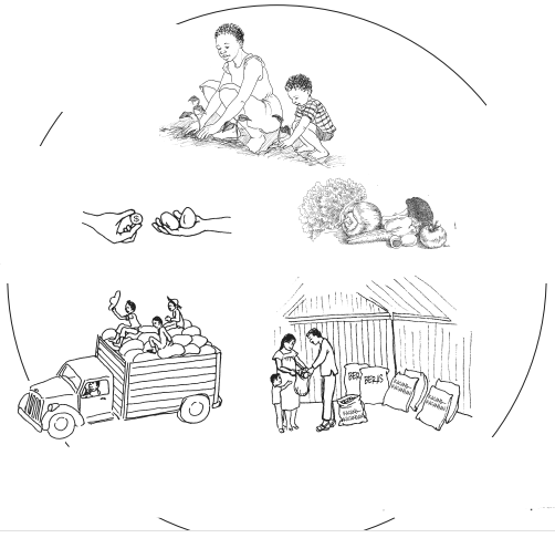 Illustration of the below:In a circle, going clock-wise, a woman and child planting seedlings, next to some vegetables, next to people beside sacks of rice and beans, next to a truck full of produce, next to a hand offering a coin for 2 eggs.