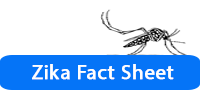 zika fact sheet