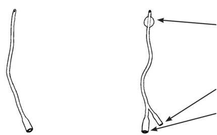 standard catheter