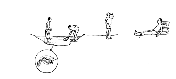 image showing route of infection with guinea worm.