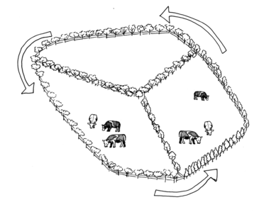 Illustration of the below: a pasture divided into thirds.