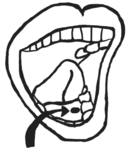 an image of a mouth with a pill in it.