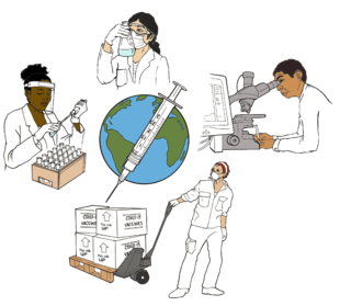 Illustration shows people around the world working on the new vaccines: a person filling vials, a person examining a beaker, a person using a microscope and computer, a person shipping the vaccines.