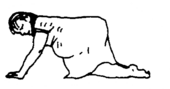 a woman on hands and knees with her back flat