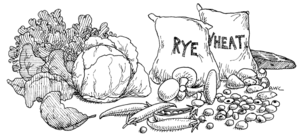 illustration of foods containing folic acid.