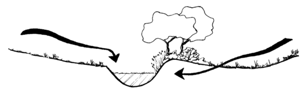 Illustration of the below: Arrows show the path of rainwater runoff.