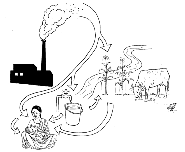 Arrows lead from a factory with a smoking chimney, to a river, plants and animals, to a tap, to a woman breastfeeding a baby.