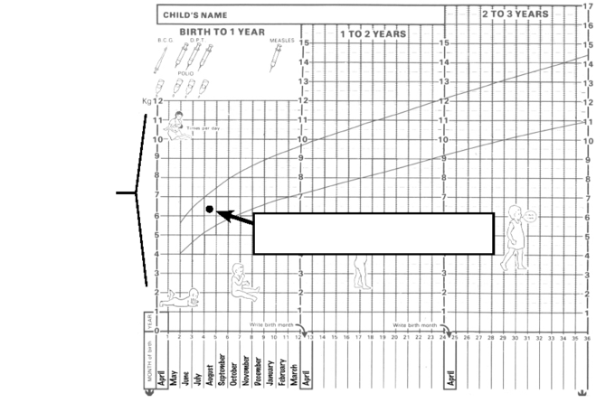 Nd Dot Weight Chart